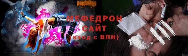 амф Ельня