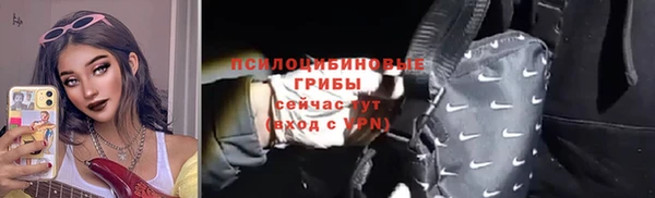 дурь Алексин