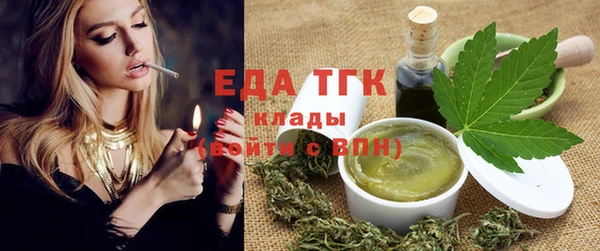 индика Гусиноозёрск