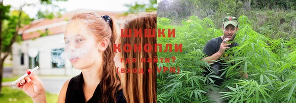 ГАЛЛЮЦИНОГЕННЫЕ ГРИБЫ Алексеевка